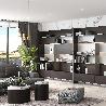 EMUCA PISTÓN PARA PUERTAS ELEVABLES THIN, DIÁMETRO 12MM, CON ENGANCHES, 80KG, ACERO Y PLÁSTICO, PINTADO NÍQUEL MATE